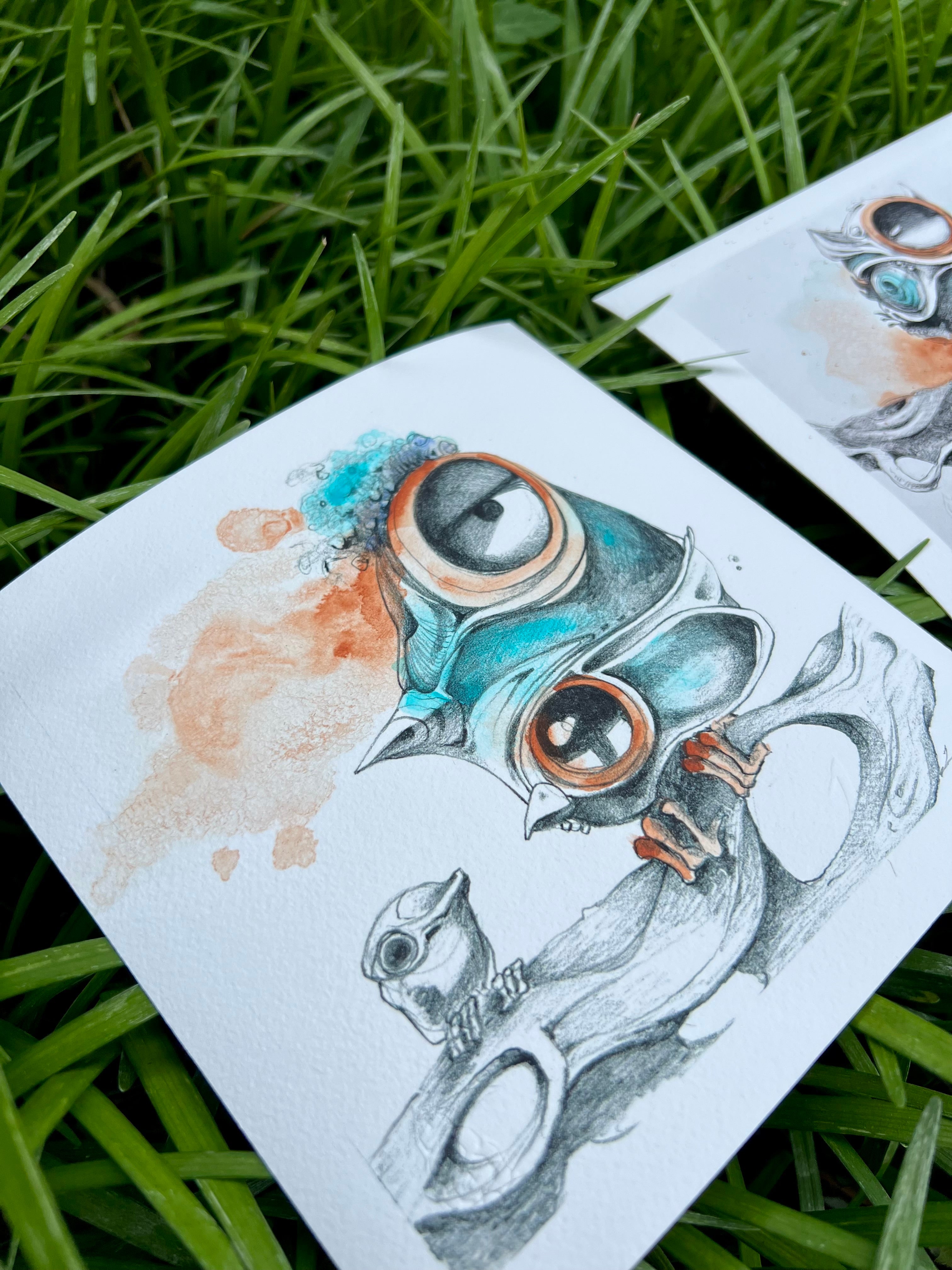 “Bird Study” Series - Print Set - Hand Embellished