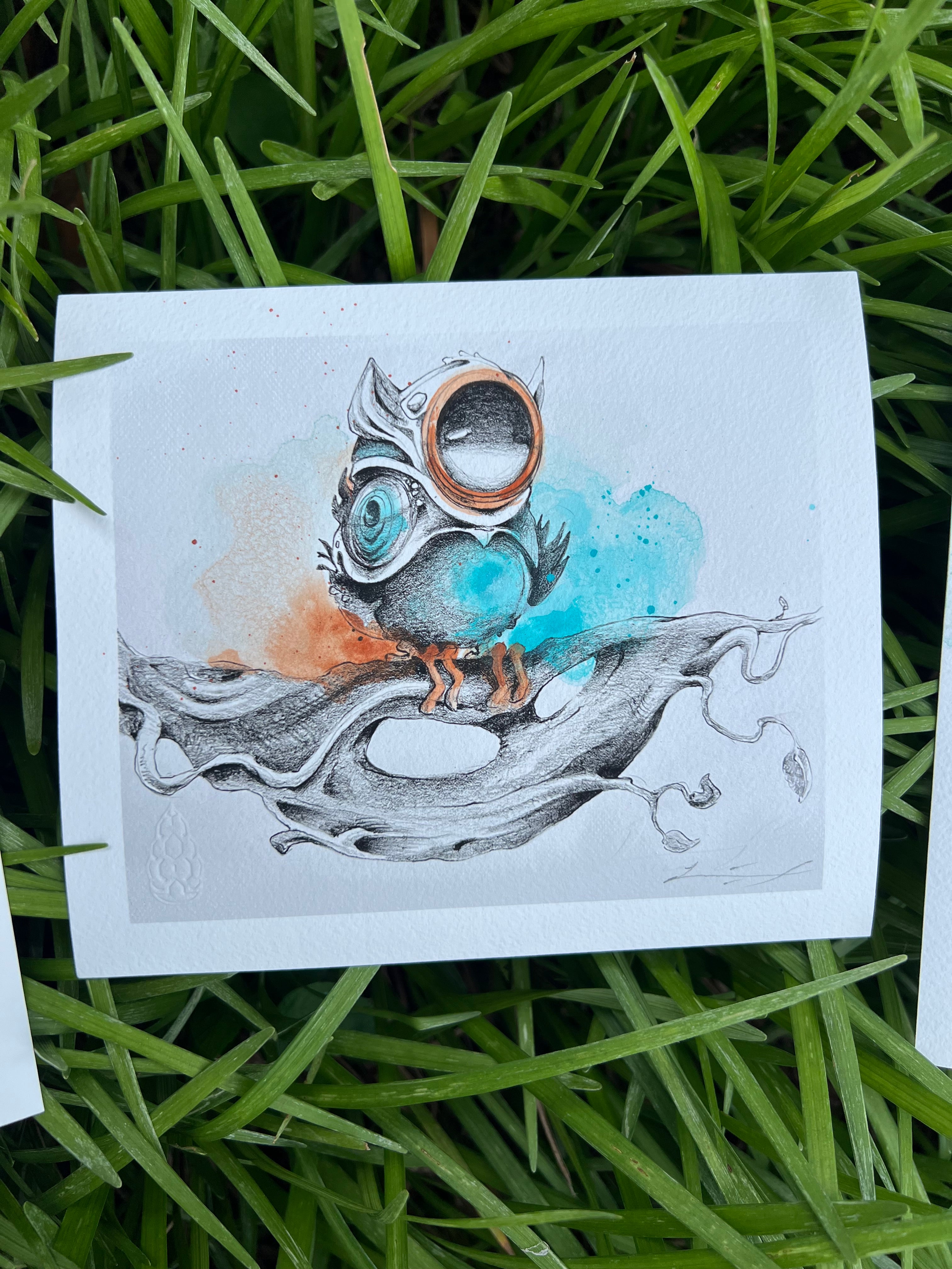 “Bird Study” Series - Print Set - Hand Embellished