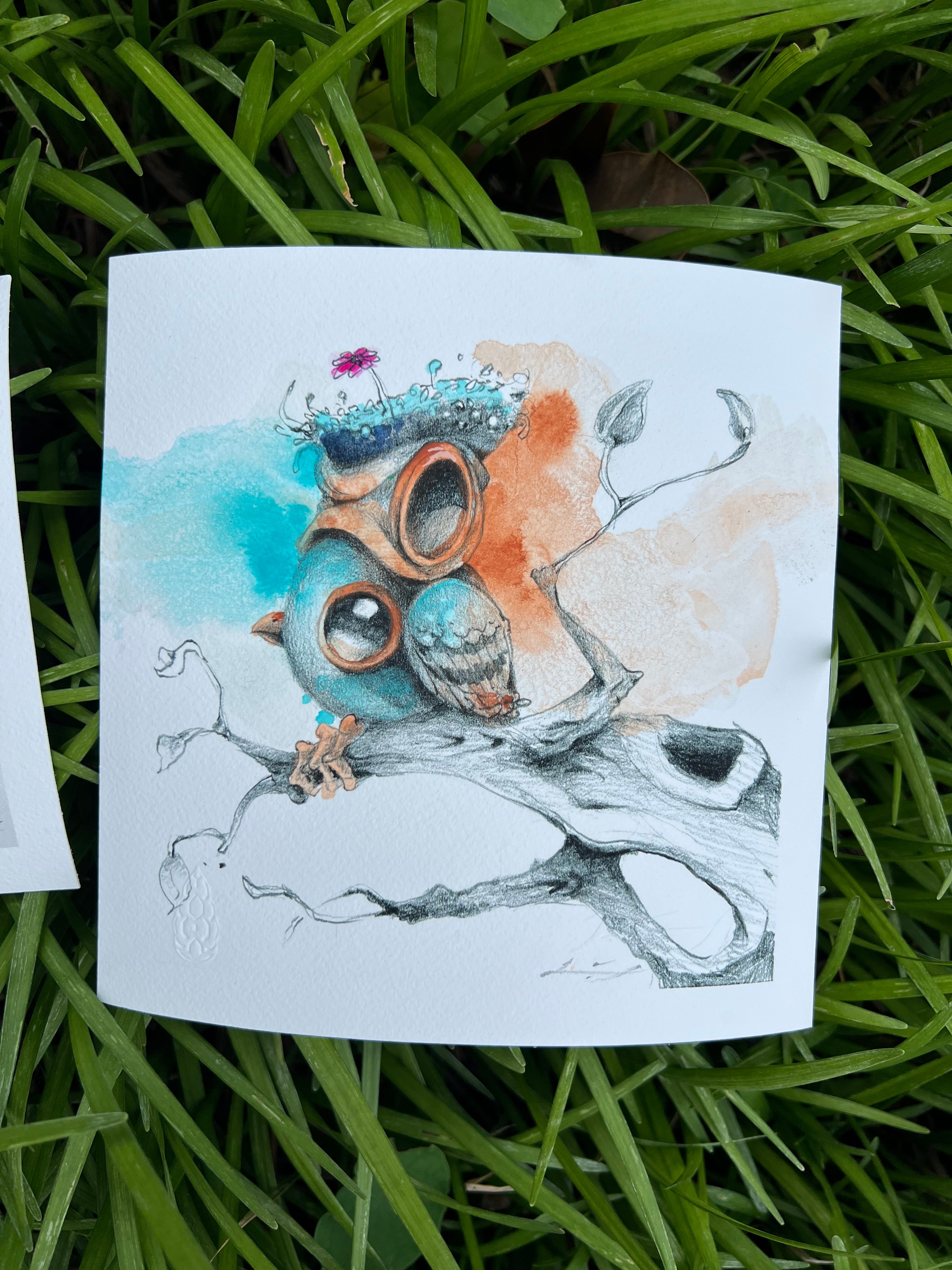 “Bird Study” Series - Print Set - Hand Embellished