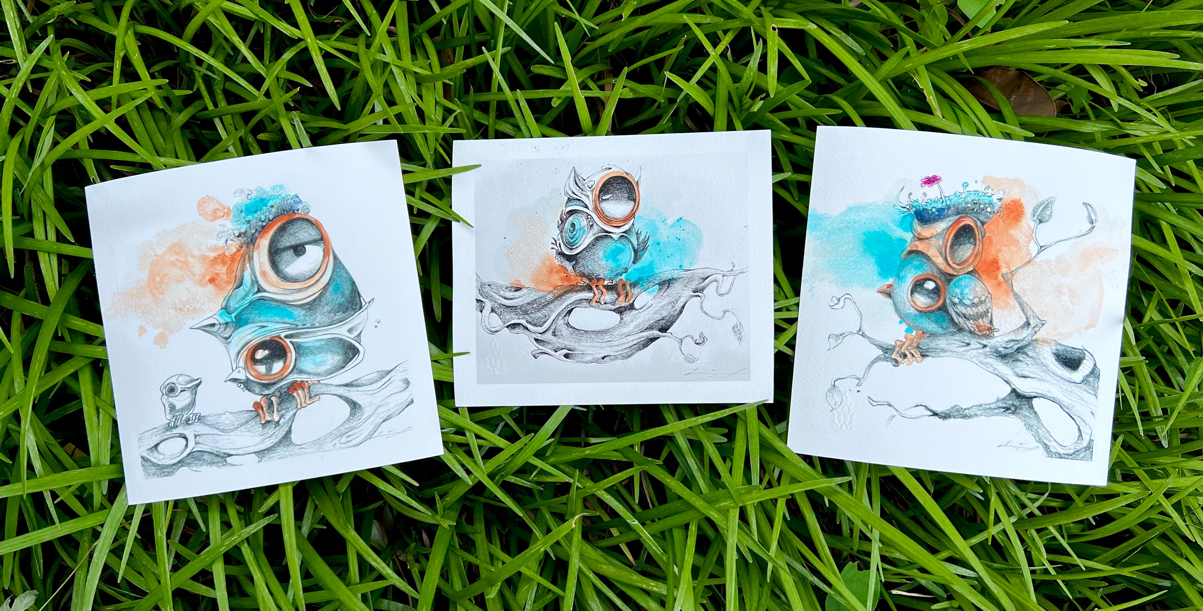 “Bird Study” Series - Print Set - Hand Embellished