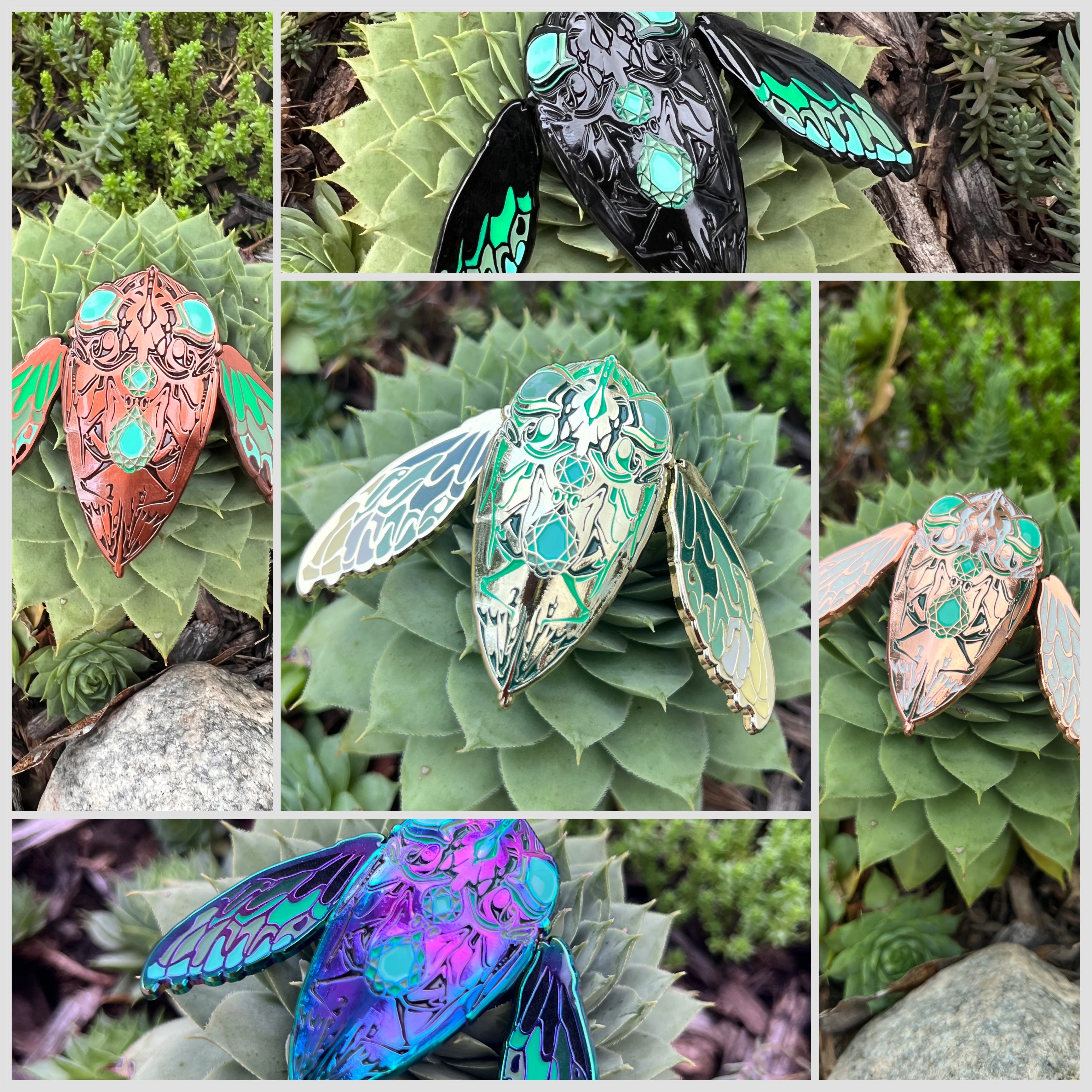 “Cicada" - Full Set